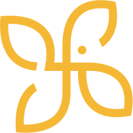 আপনার ঘরকে সাজিয়ে তুলুন এক নয়নাভিরাম নৈসর্গিক সাজে!